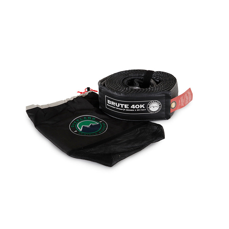 Tow Strap 4" x 20' Gray With Black Ends & Storage Bag