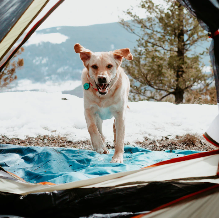 EVERYWHERE MAT - OCEAN FADE