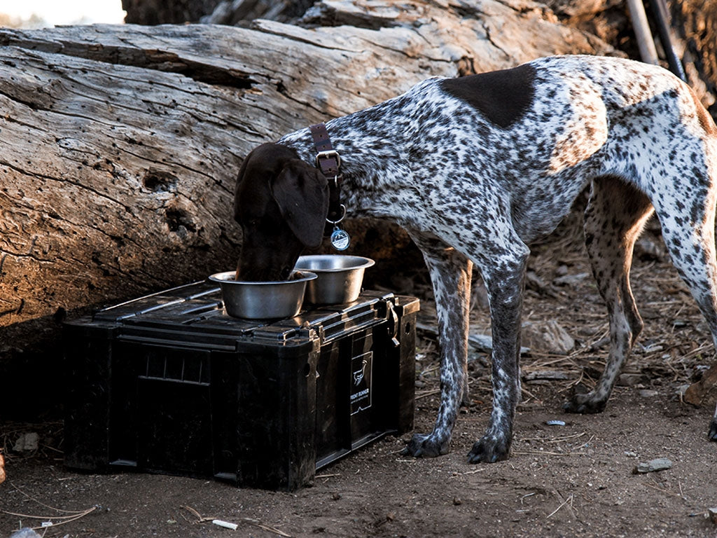 WOLF PACK - BY FRONT RUNNER